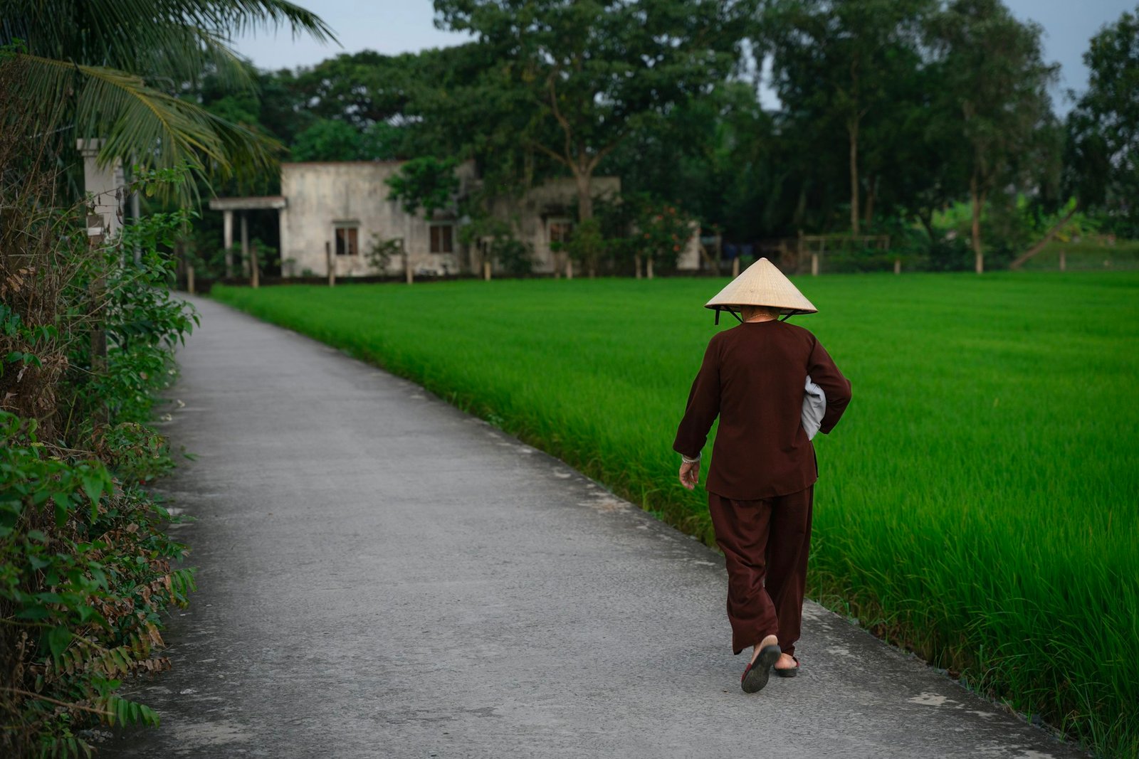 Returning to Vietnam as a Vietnamese American: Papers, Family and the First Trip Back