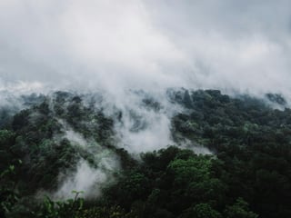 Bali in Rainy Season: What It Is Actually Like