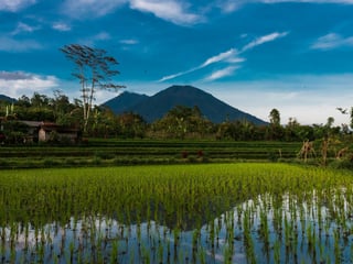 Best Time to Visit Bali