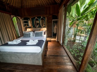 Dengue and Mosquitoes in Bali