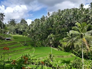 Do Americans Need a Visa for Bali?