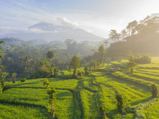 Extending a Bali Visa on Arrival: How It Works