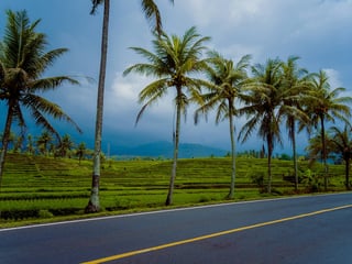 How to Get Around Bali