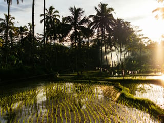 How Many Days Do You Need in Bali, Coming from the US?