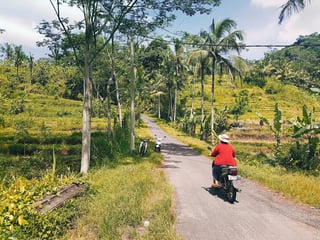Do Americans Need an International Driving Permit in Bali?