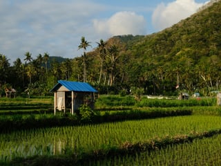 Tipping in Bali: Service Charge, Tax and When to Add More