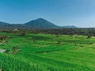 Two Weeks in Bali: North, East and an Island Leg