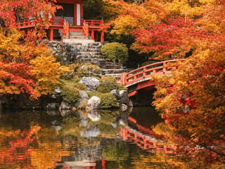 Autumn Foliage in Japan: Timing Your Trip