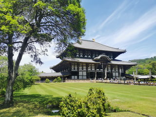 Best Day Trips from Kyoto (Nara, Osaka & Himeji)
