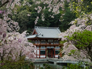 Best Time to Visit Japan (and When to Avoid)