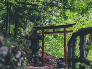 Meiji Shrine Guide (Tokyo)