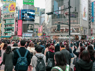 Shibuya & Harajuku Area Guide