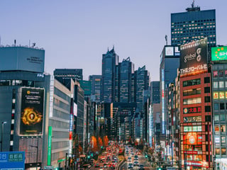 Shinjuku Area Guide: What to Do in Tokyo's Busiest Hub