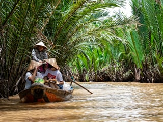 Mekong Delta Homestays: Which Province, and Why It Matters