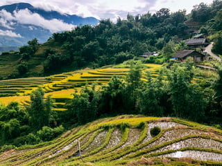 The Best Time to Trek in Sapa