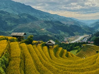 Best Time to Visit Vietnam