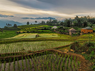 Sapa Homestay vs Day Trek