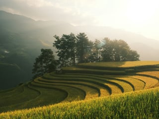 Sapa Trekking Guide