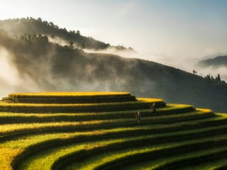 Vietnam Weather by Region and Month