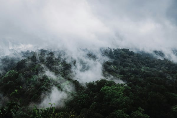 Bali in Rainy Season: What It Is Actually Like