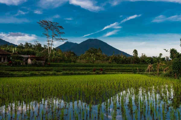 Best Time to Visit Bali