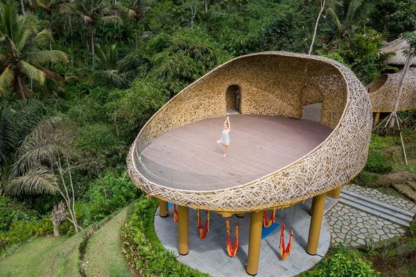 Choosing a Yoga Retreat in Ubud: What the Listings Don't Say