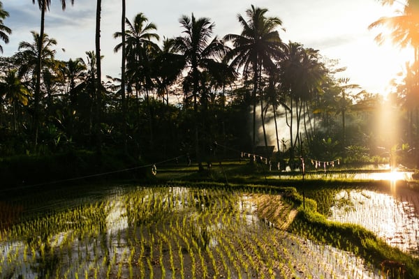 How Many Days Do You Need in Bali, Coming from the US?