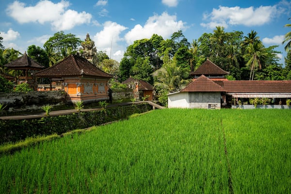 One Week in Bali: A Realistic First-Timer Route