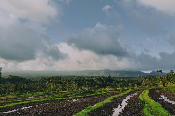 Sidemen and Amed: East Bali