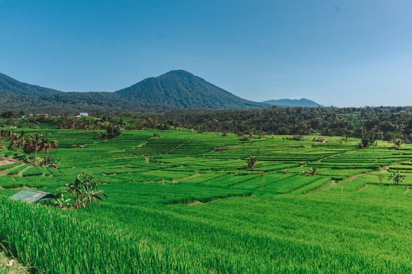 Two Weeks in Bali: North, East and an Island Leg
