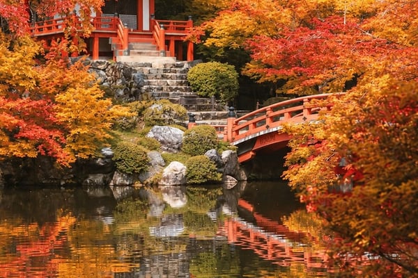 Autumn Foliage in Japan: Timing Your Trip