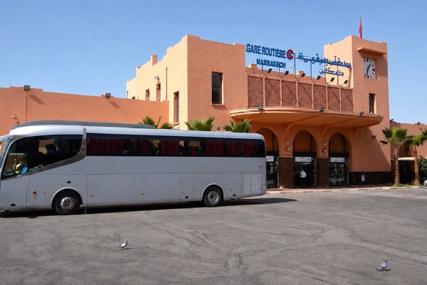 CTM vs. Supratours: Morocco's Coach Companies Compared