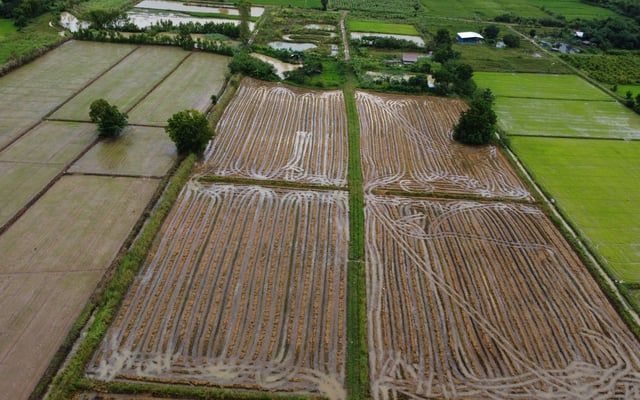 Isan: Exploring Thailand's Northeast