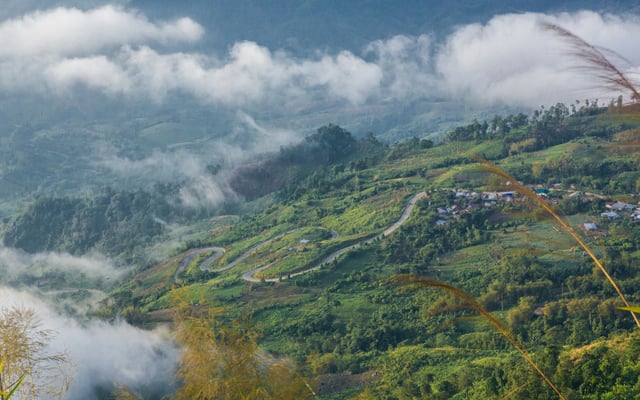 Trekking in Northern Thailand: What to Expect