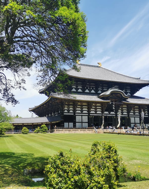 Best Day Trips from Kyoto (Nara, Osaka & Himeji)