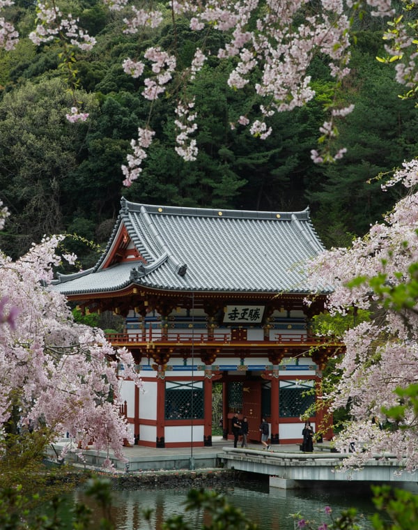 Best Time to Visit Japan (and When to Avoid)