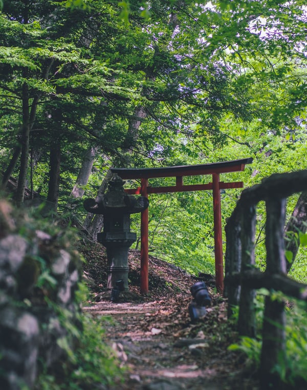 Meiji Shrine Guide (Tokyo)