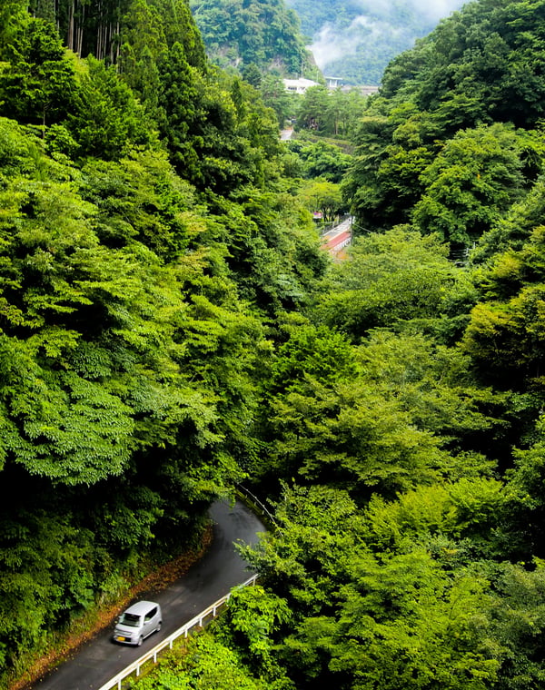 Renting a Car in Japan: What to Know