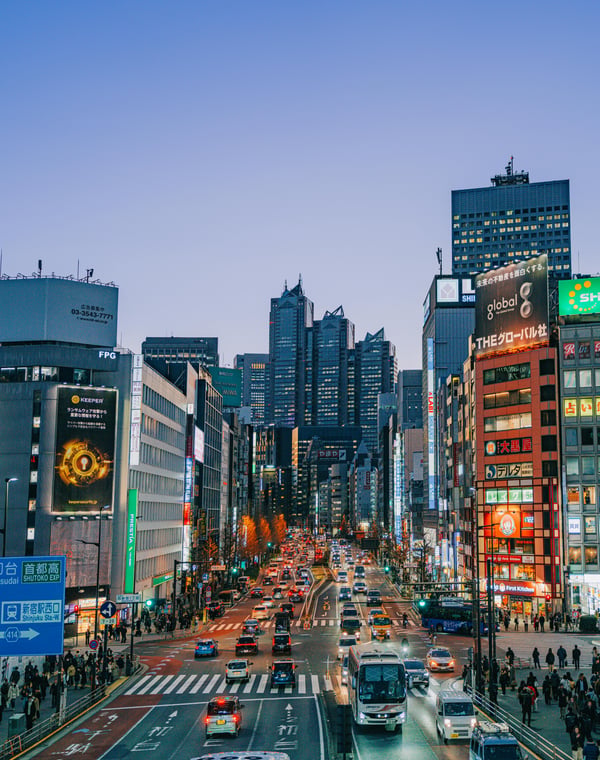 Shinjuku Area Guide: What to Do in Tokyo's Busiest Hub