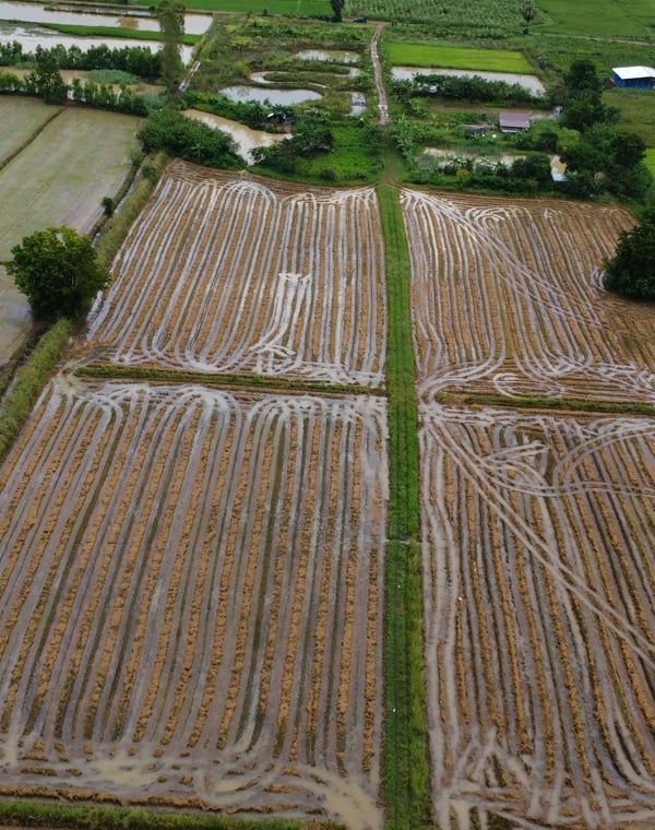 Isan: Exploring Thailand's Northeast