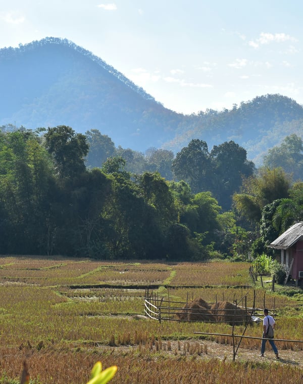 Pai, Thailand: Is the Trip Worth It?