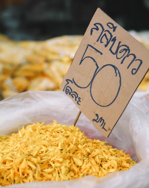 How Much Does a Trip to Thailand Cost?