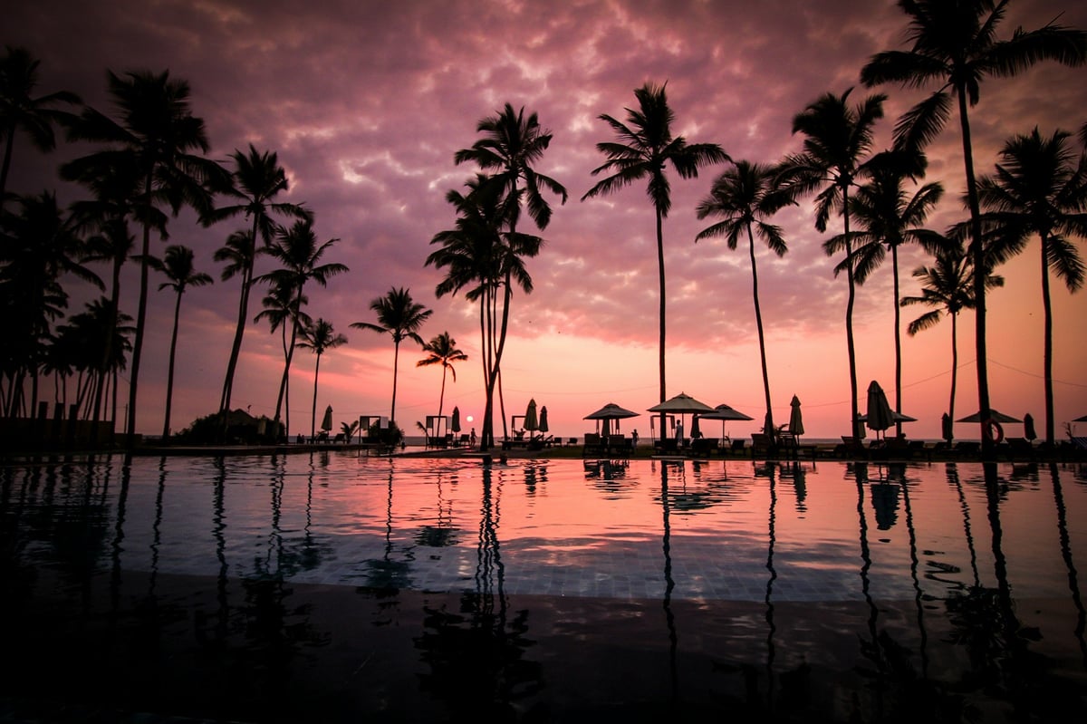 Palm trees reflected in a pool at sunset in Bali