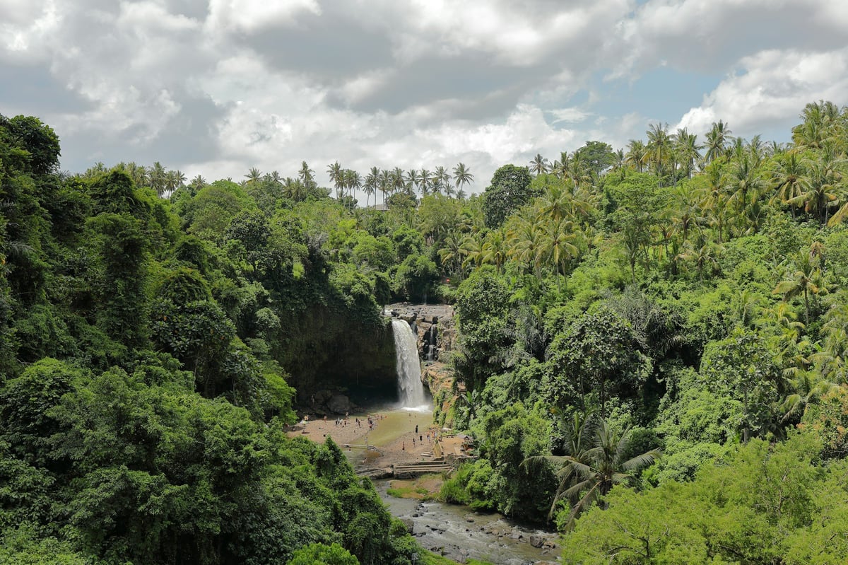A waterfall seen across a forested valley near Ubud