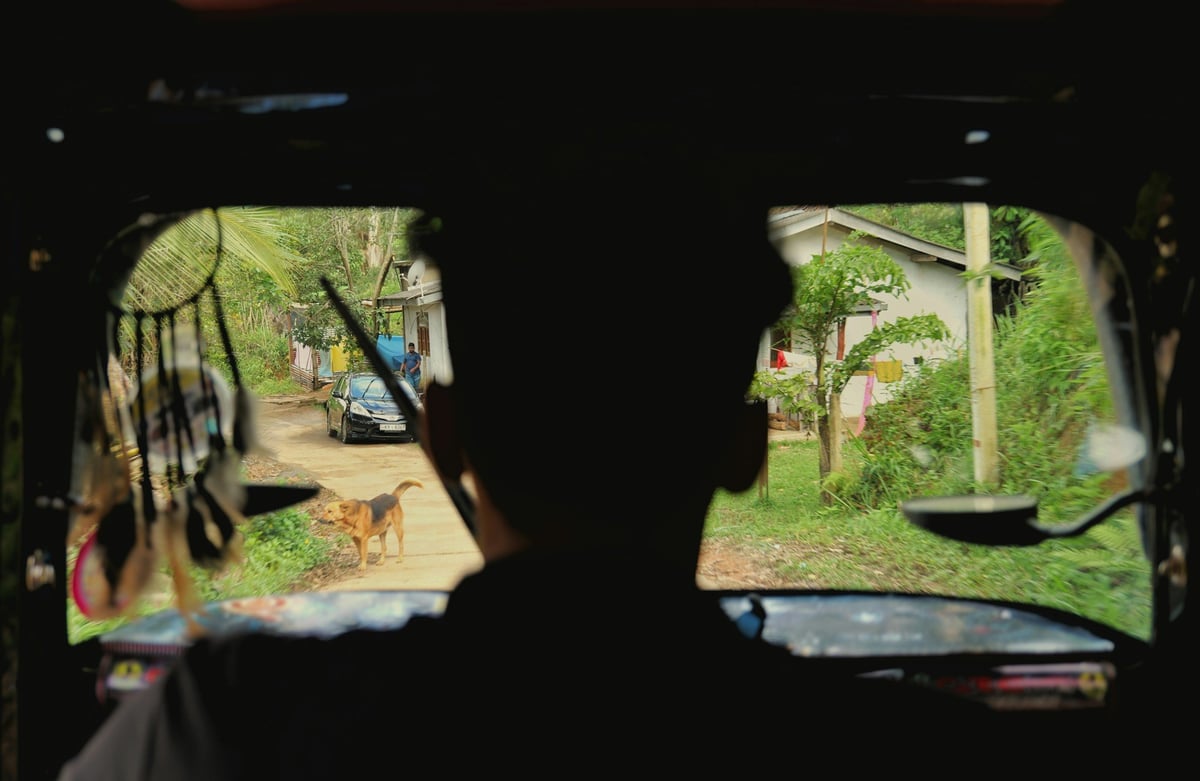 A driver seen from the back seat on a village lane