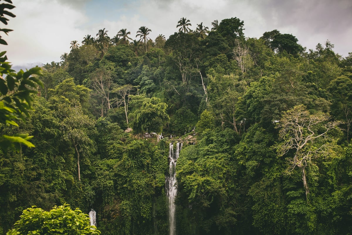 A waterfall dropping through forest in Bali's highlands