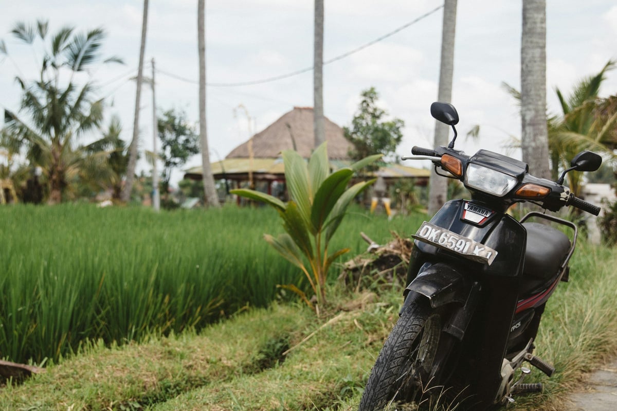 A motorbike parked beside a rice field in Bali