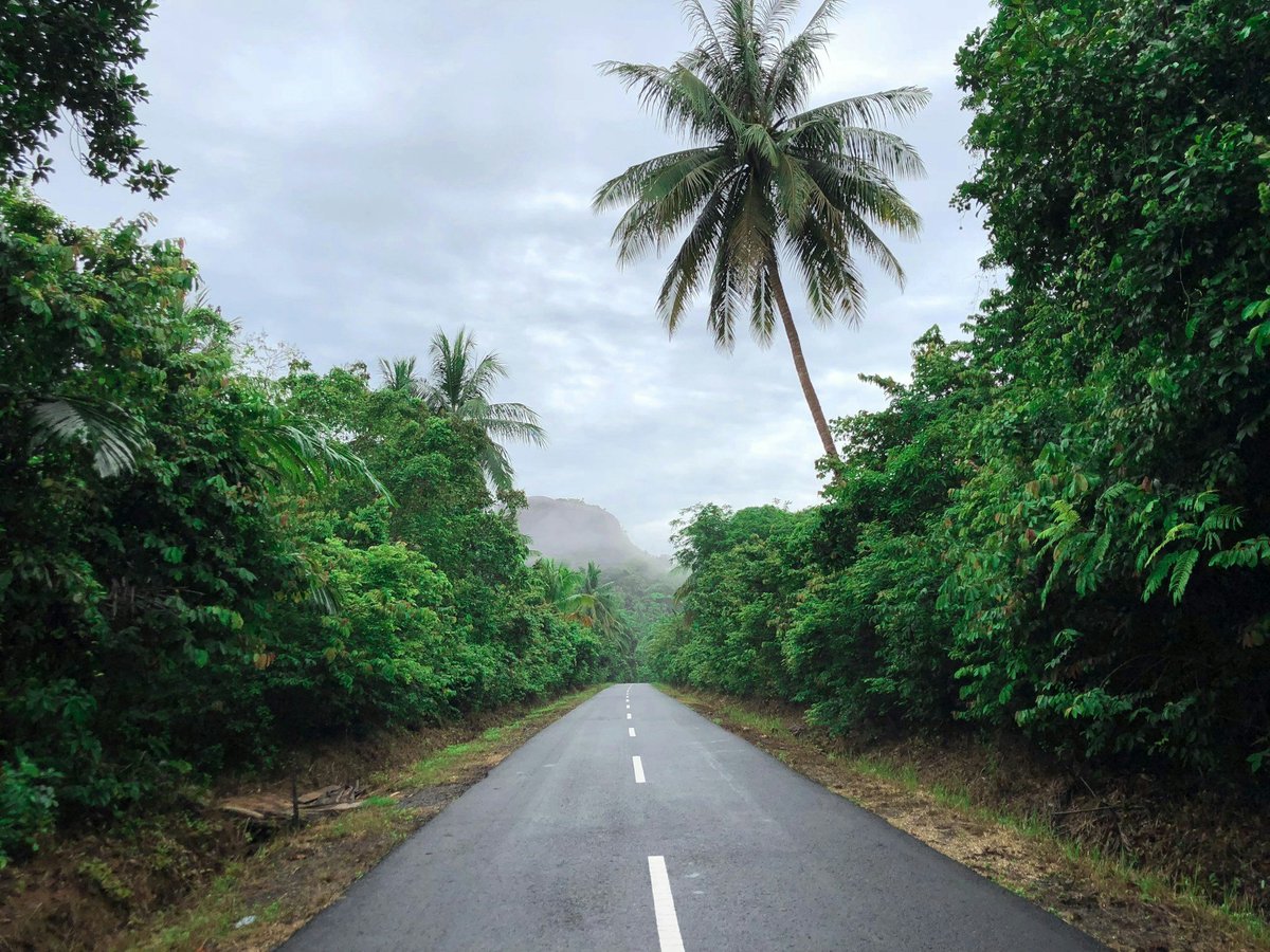A quiet road through green forest in Bali