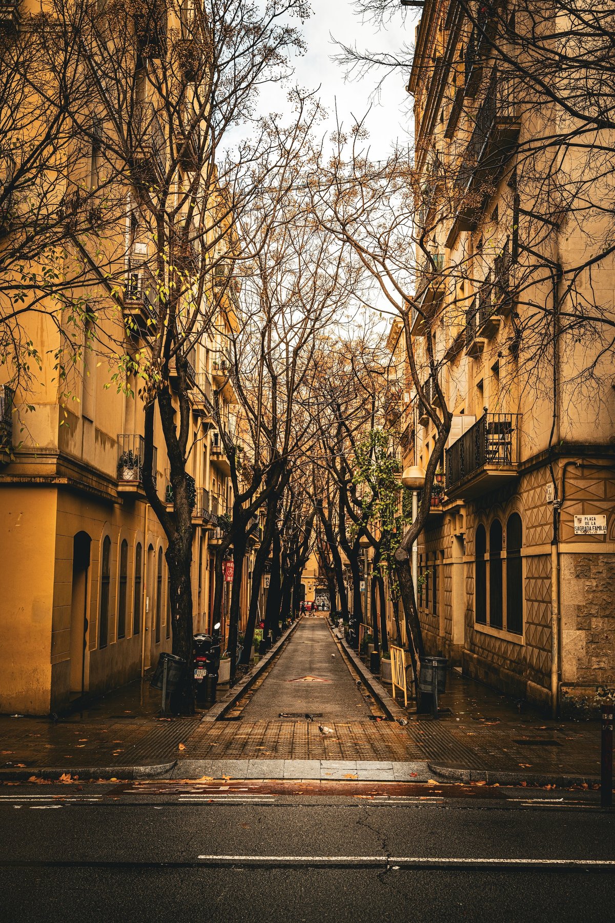 A pleasant, moderately busy Barcelona street scene in spring or fall