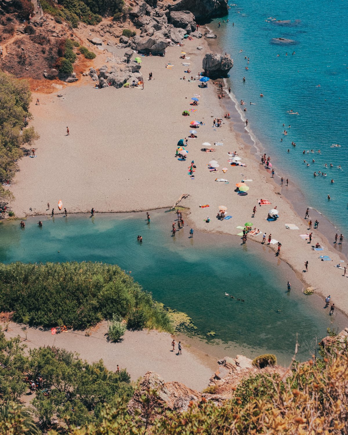 A palm-fringed Cretan beach like Preveli or Vai, sand meeting greenery